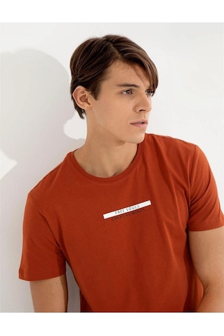 Pierre Cardin Bakır Slim Fit Bisiklet Yaka T-shirt Çok Renkli