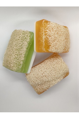 Doğal Kabak Lifli Ballı Eşek Sütü + Keçi Sütü + Aloe Vera 3'lü Sa