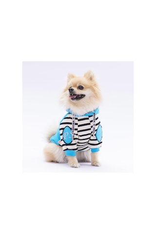Turkuaz Lucky Club Köpek Hoodie Köpek Sweat Köpek Kıyafeti Kedi Kıyafeti