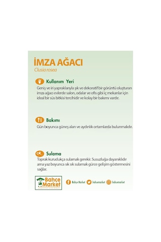 İmza Ağacı Yeşil