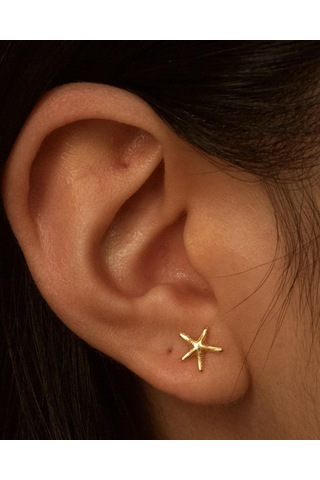 Geeksen Bayanlar İçin 14k Altın Deniz Yıldızı Küpe, Saçma-sapan Olmayan, Hafif, Alerjiye Dayanıklı, Zarif Tekstil Çift Gold