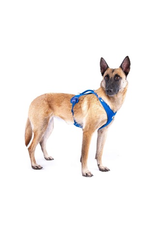 Belka Harness Air-mesh Light-tan 2xl Genel