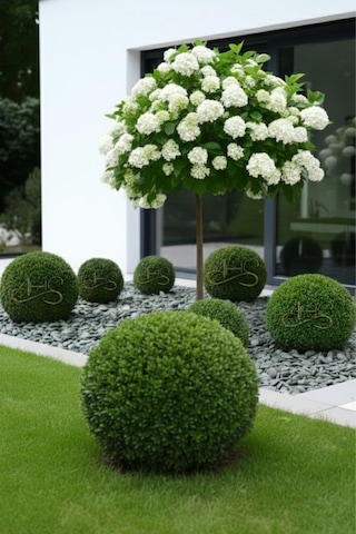 Green Angel Dolomit Çakıl Taşı Yeşil Beyaz Çizgili 6-10 Cm 2 Kg Dekoratif Bahçe Saksı Akvaryum Taşı