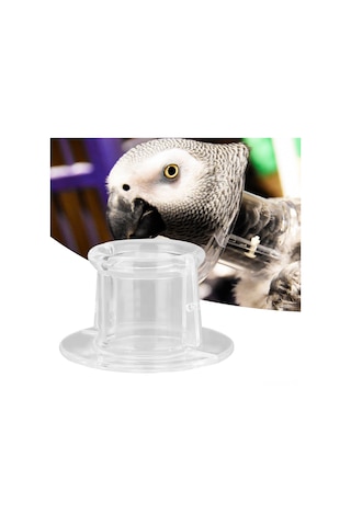 Qingmipy Kuş Yaralı Kolları: Akrilik Materyal, Kanat Çiçeklendiğini Engeller, Yaraların İyileşmesini Sağlar, Güvenli Ve Dayanıklı, L Boyutu Dış Çap 9.5cm, İç Çap 4.5cm