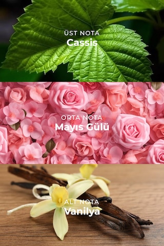 Armasari Harmony Vanilla Edp Kalıcı Kadın Parfüm 100ml Meyveli Cassis, Gül, Paçuli, Vanilya Vanilya