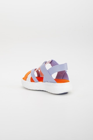 Şirinbebe Şiringenç Yüz Direkli Çapraz Bantlı Ortopedik Lila Kız Bebek Kız Çocuk Sandalet-3094-lila Lila