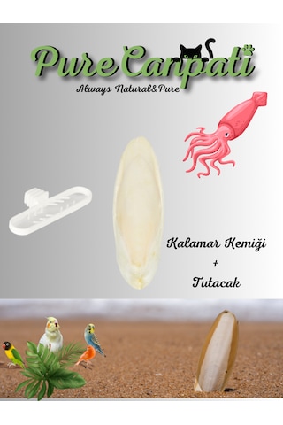 Purecanpati Mürekkep Balığı Kemiği Kalamar Küçük Boy 1 Adet