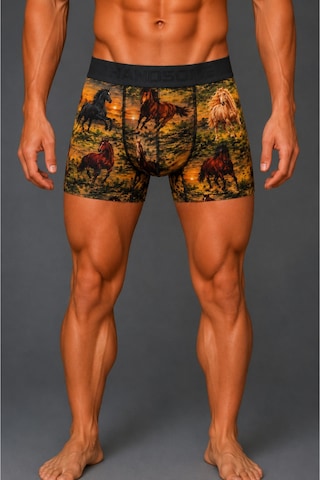 Brem Handsome At Desenli Erkek Boxer Çok Renkli