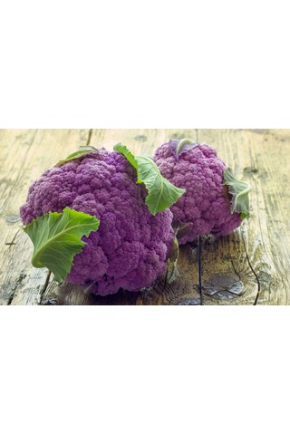 Sicilya Mor Karnabahar Tohumu