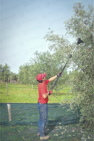 Cıfarellı Elivo SB42S Teleskopik Akülü Zeytin Hasat Makinesi