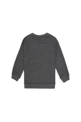 U.s. Polo Assn. Erkek Çocuk Antrasit Melanj Sweatshirt 50313829-vr081 Antrasıt Melanj