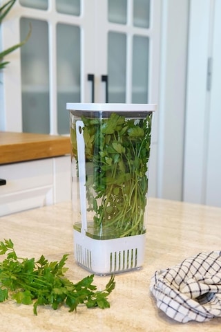 Technow Vip Ahmet Vp-007 Suda Yeşillik Saklama Kabı 1700 Ml Beyaz