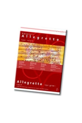 Hahnemühle 10 628 009 Allegretto A4 Suluboya Blok Kağıdı, 150 Gsm