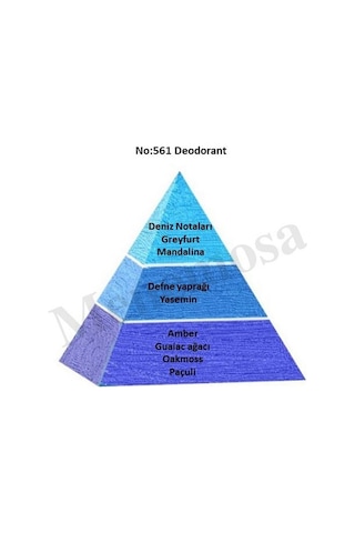 No:561 Erkek Fresh Deodorant 150ml - Mnms150no561deo