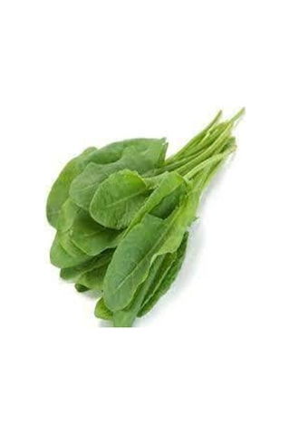 100 Adet Kuzu Kulağı Koç Kulağı Ekşi Otu Tohumu