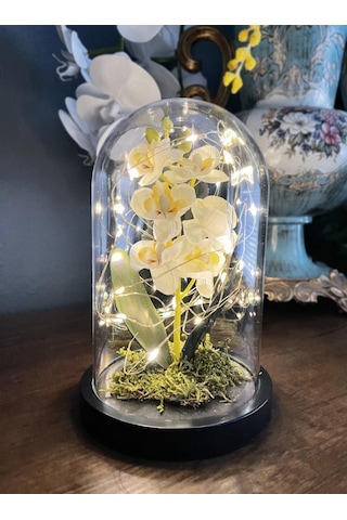 Faunus İçerisinde Işıklı Yapay Beyaz Orkide Anneler Günü Özel Hed