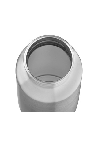 Esbit Pictor Paslanmaz Çelik Izoleli Termos Gümüş 0.55 L