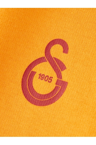 Gsstore Galatasaray Puma Kapüşonlu Sweatshirt 78290806 Sarı