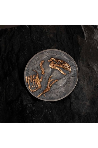 Agakulche Nimravidae Evrimi 2024 1 Ons Gümüş Sikke Coin