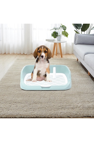 Homyl Yıkanabilir Pet Eğitim Tuvalet Tepsisi Lazımlık Yeşil