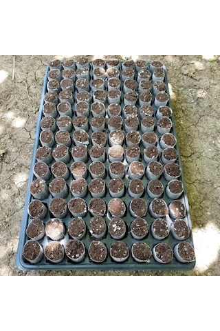 832 Adet Paper Pot 8 Viyol Hızlı Çimlenme Sağlayan Tohum Ve Çelik Köklendirme Diğer