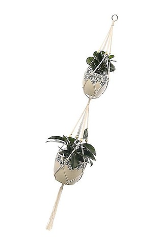 1 Adet Bitki Saklama Filesi