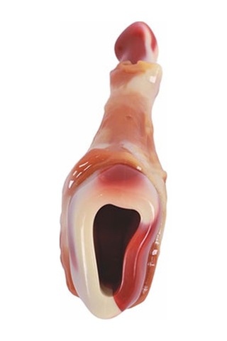 M-pets Carnivore But Şeklinde Pastırma Aromalı Kemik Köpek Oyuncağı 12,4x6,1x3,5 Cm 244-50127.01