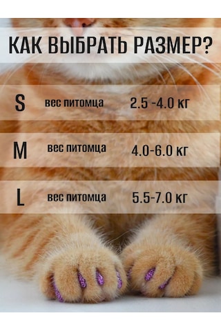 E.lekar' Kediler İçin Anti-tırmık Tırnak Kılıfları 40 Adet M 216356843