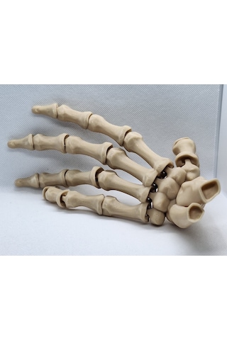 Anatomi İskelet El - Detaylı