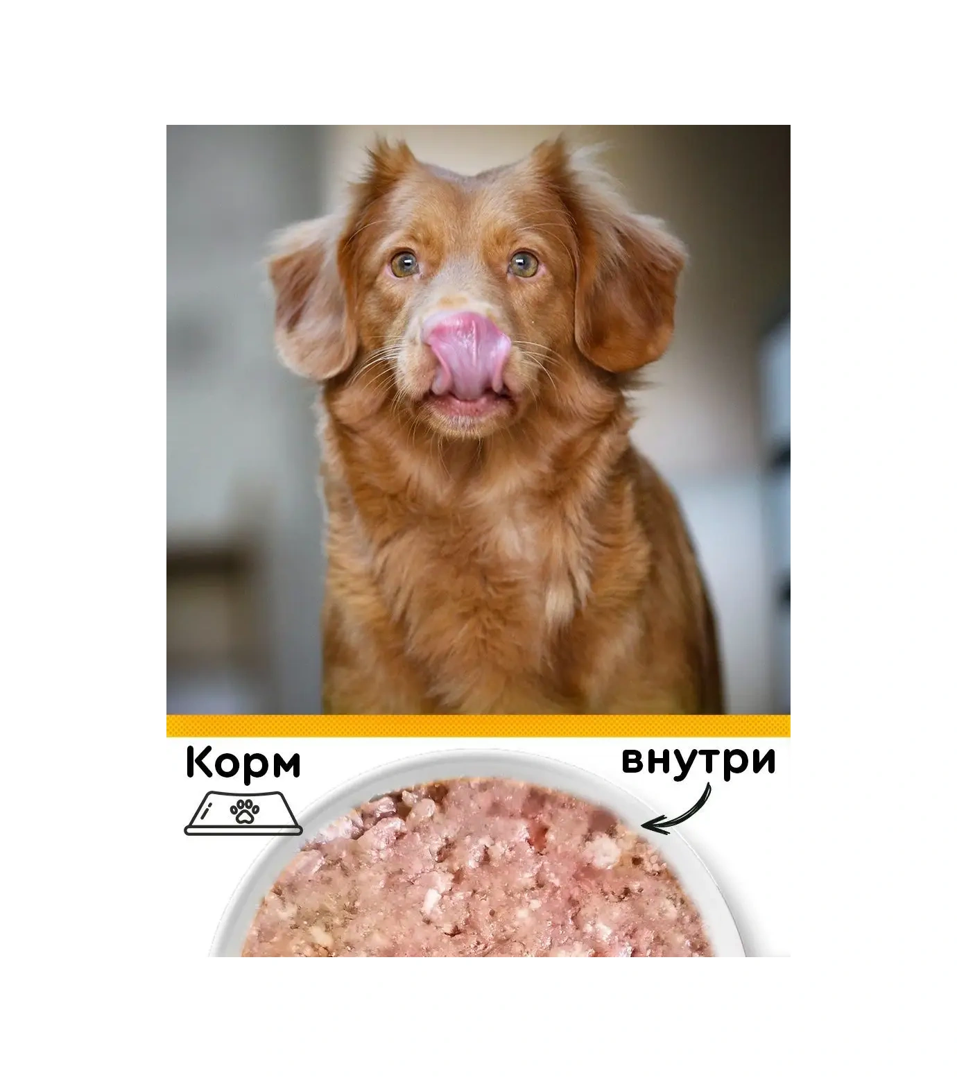 Petibon Petibon 240 G 12'li Aşağı Ve Hindiyle Kuru Köpek Maması 102742592