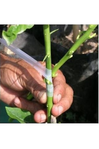 Gmt Kutulu Aşı Bandı 3 Adet