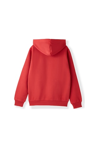 Gsstore Galatasaray Puma Çocuk Fermuarlı Kapüşonlu Sweatshirt 78291501 Kırmızı