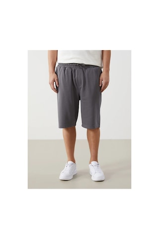 Lc Waikiki Xsıde Rahat Kalıp Erkek Bermuda Şort Dark Grey