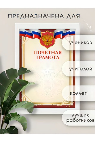 Pro Bel Arması İle Birlikte Onur Beratı 40 Parça Set 360583013