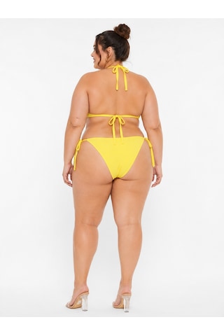 Büyük Beden Geniş Üçgen İpli Boyundan Bağlamalı Kruvaze Kadın Bikini Takım Sarı
