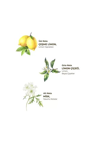 Kolonya Pet Şişe Sprey 150 Ml Çeşme Limonu