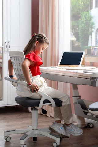 Creo Mobili Yükseklik Ve Sırt Ayarlı Sirius Çalışma Sandalyesi Ofis Ve Bilgisayar Koltuğu Beyaz/gri Gri