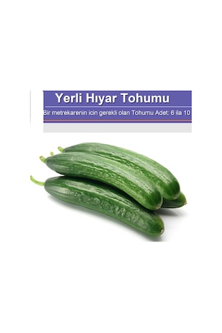 Yerli Hıyar Salatalık Tohumu 100 Adet