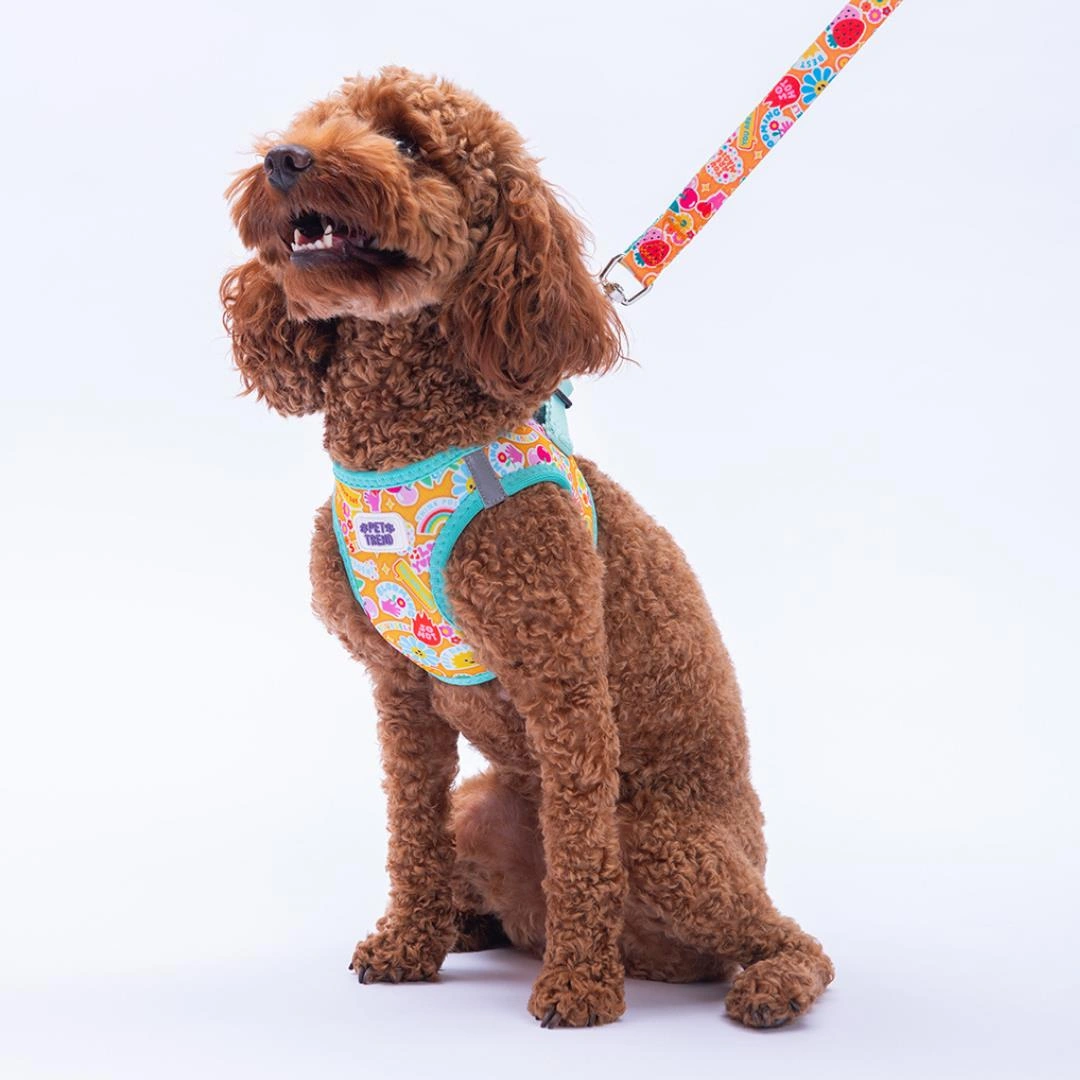 Pixsy Pals Göğüs Tasması Ve Sevk Kayışı Tasma Seti Emojili Kedi Köpek Göğüs Tasması Seti Mint