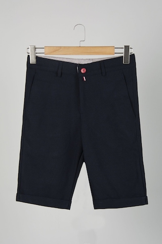 Terapi Men Erkek Koyu Lacivert Slim Fit Keten Şort Çokrenkli1