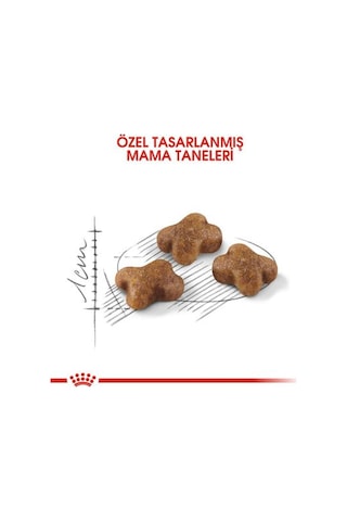 Kitten Yavru Kedi Maması - 10 Kg