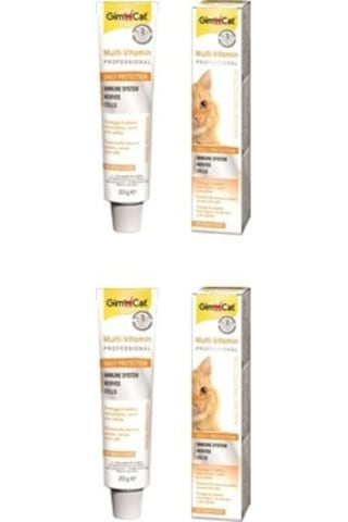 Gimcat Multi-Vitamin Kedi Macunu 2 x 20 G