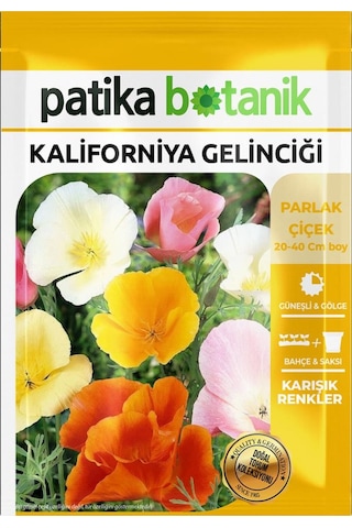 100 Adet Kaliforniya Gelinciği Çiçek Tohumu (Eschscholzia californica)