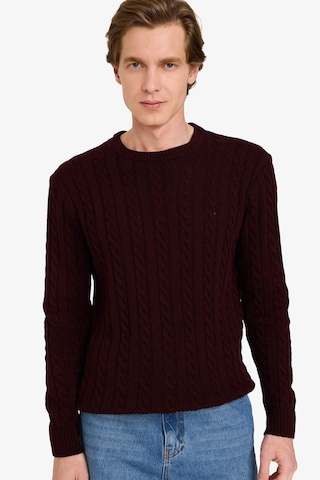 Defacto Standart Fit Bisiklet Yaka Saç Örgülü Triko Kazak G6388ax25cwbr230 Bordo-br230