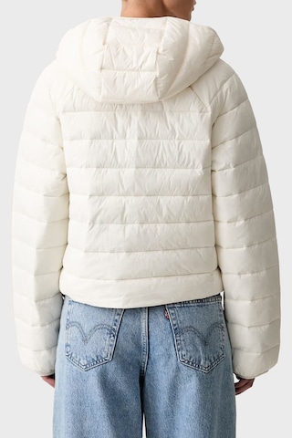 Calvin Klein Kapitoneli Regular Fit Kapüşon Yaka Mont Lv047g505gyas Bayan Mont Lv047g505g Yas Krem