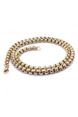 Erkek Arnavut Çelik Kolye 6mm 9180 Altın