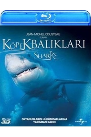 Sharks - Köpekbalıkları 3D+ 2D Blu-Ray Tek Disk