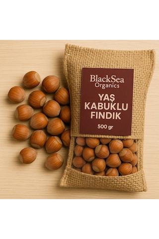 Blacksea Organics 2025 Yeni Mahsul Kabuklu Fındık 500 G
