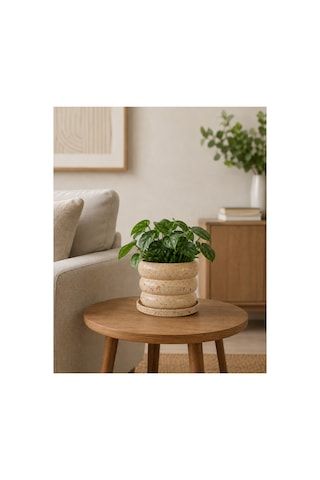 Tria Seramik Saksı Bej Kırmızı Siyah Benekli Çap:17cm Yük:15cm Tabaklı Artistik Sırlı Tria Seramik Saksı Bej Kırmızı Siyah Benekli Çap:17cm Yük:15cm Tabaklı Artistik Sırlı