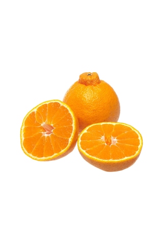 Tüplü Dekopon Mandalina Fidanı